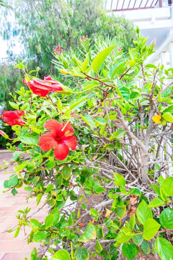 Vivienda Vacacional Sea Garden Costa Teguise Zewnętrze zdjęcie